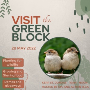 Two sparrows nestled in natural toned graphic for the Green Block event