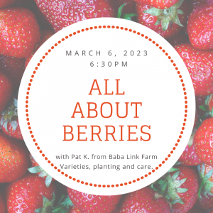 Text describing the All About Berries webinar displayed over a colourful background of juicy strawberries
