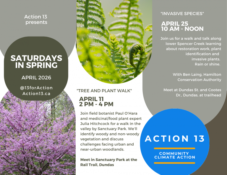 Saturdays in Spring, 2026